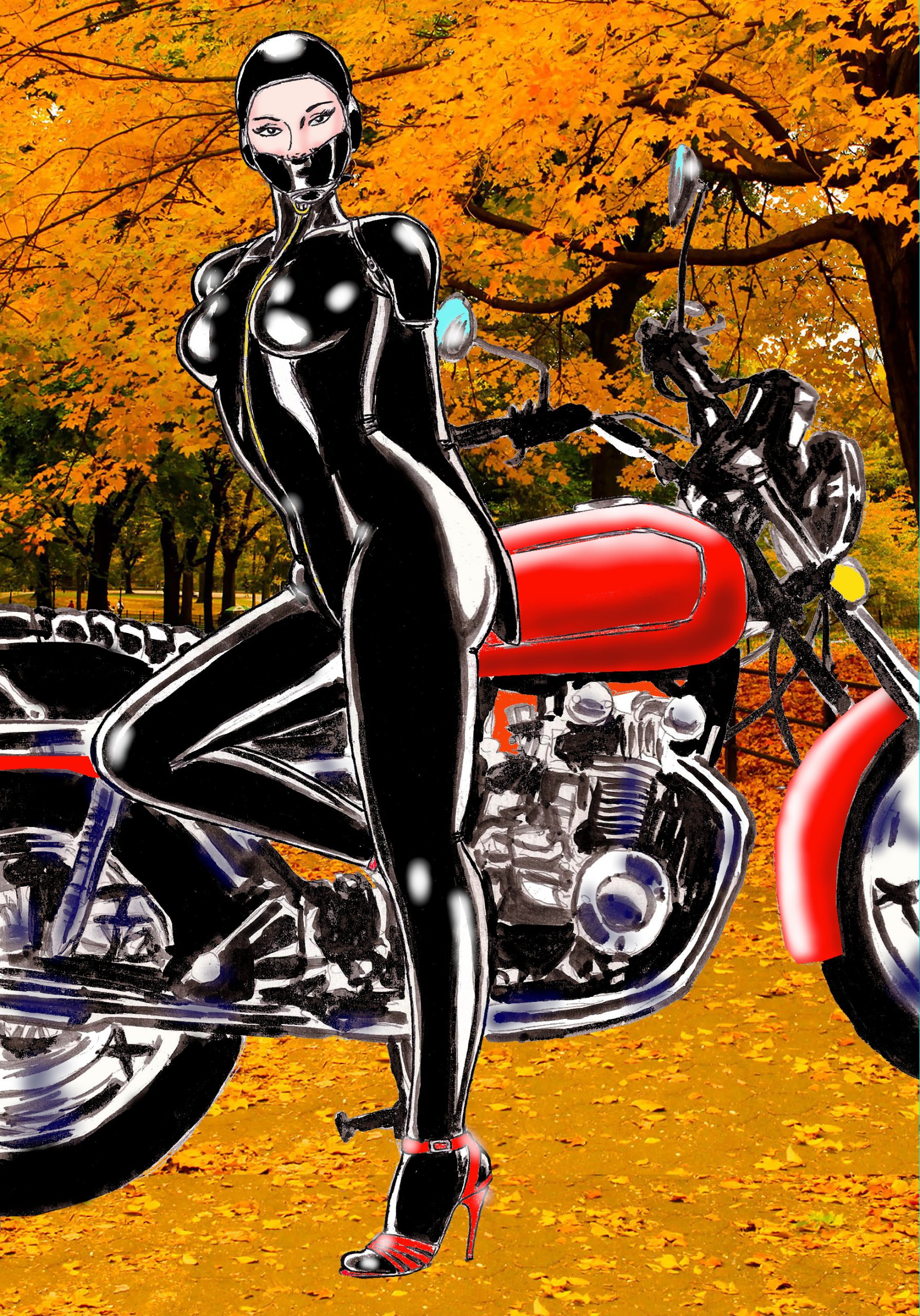 Motorcycle Gear