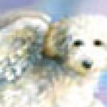 Profile picture of olgakalmar
