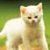 Profile picture of oqaforo